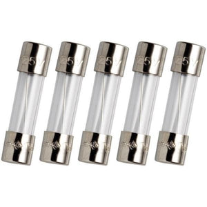 FLOW FUSE-GT Lサイズ（25.5㎝〜29.5㎝適応） Green Mountain Fuse (5 AMP 20mm): P-1059 | eBay