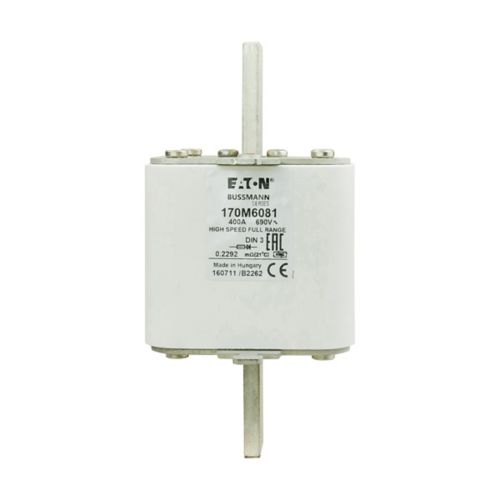 170M6081