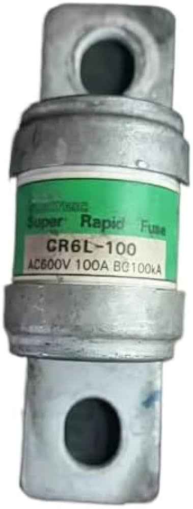 CR6L-100