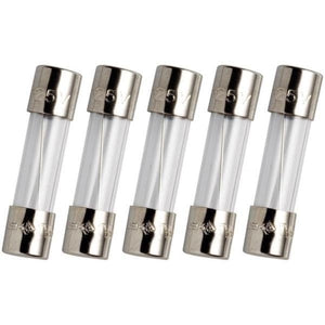 Glass Fuses | 5x20mm | Slow Blow | Pack of 5 | 10A